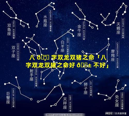 八 🦄 字双龙双猪之命「八字双龙双猪之命好 🐱 不好」